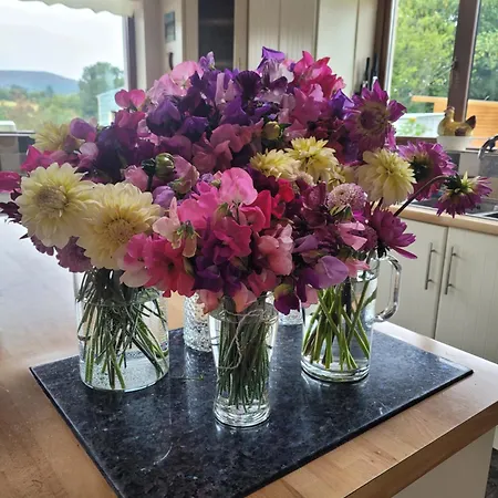 ベッド・アンド・ブレックファスト Melleray Heights